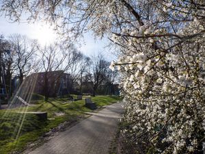 Das Stadtteilfest der Planetensiedlung findet auf dem Spielplatz der Nationen statt. Foto: Stadt Marl.