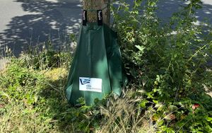 Foto: Stadt Marl / Amt für Klimaschutz und Nachhaltigkeit.
