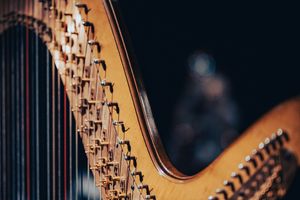 Symbolbild Harfe: Victor Serban / unsplash