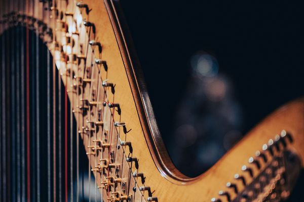 Symbolbild Harfe: Victor Serban / unsplash
