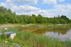 Halde Brinkfortsheide im Sommer. Foto: Stadt Marl / Pressestelle