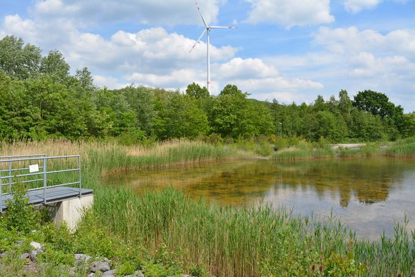 Halde Brinkfortsheide im Sommer. Foto: Stadt Marl / Pressestelle
