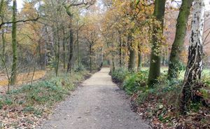 Reitweg