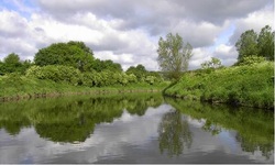 Naturschutz in der Lippeaue